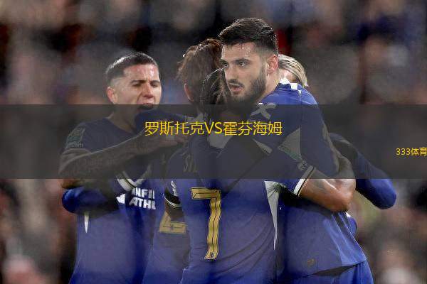 羅斯托克VS霍芬海姆