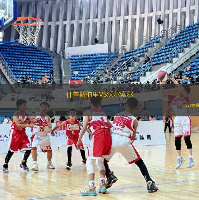 什魯斯伯里VS沃爾索爾