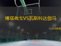 博塔弗戈VS瓦斯科達(dá)伽馬