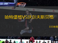 哈特堡格VS沃爾夫斯貝格