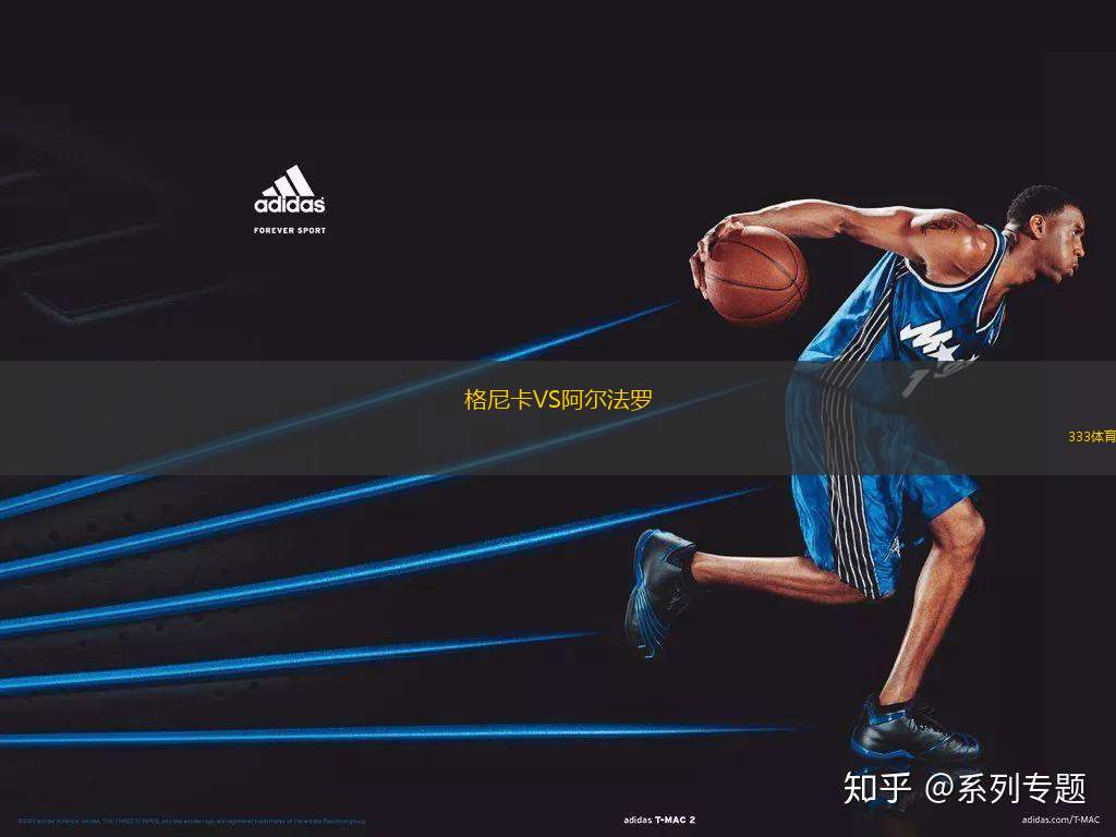 格尼卡VS阿爾法羅