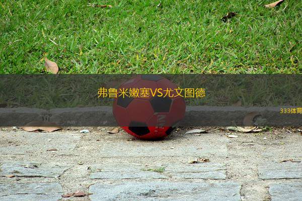 弗魯米嫩塞VS尤文圖德