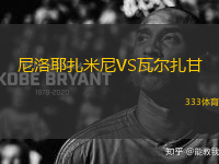 尼洛耶扎米尼VS瓦爾扎甘