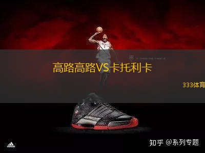 高路高路VS卡托利卡