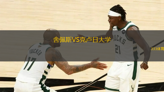 舍佩斯VS克盧日大學(xué)