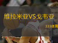 維拉米亞VS戈韋亞