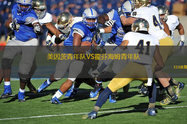 美因茨青年隊(duì)VS霍芬海姆青年隊(duì)