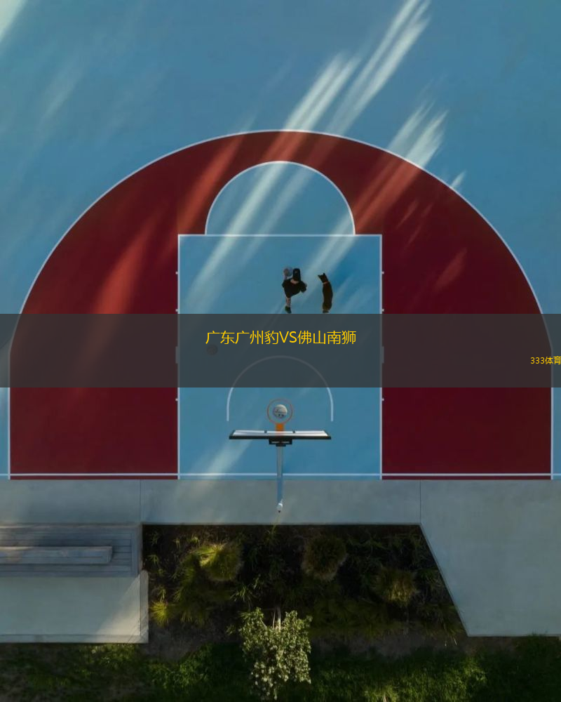 廣東廣州豹VS佛山南獅