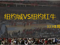 紐約城VS紐約紅牛